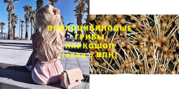 экстази Баксан