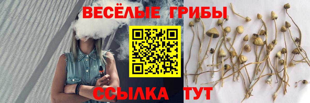 Губаха  Галлюциногенные грибы прущие грибы  Галлюциногенные грибы ЛСД  Вход с VPN 