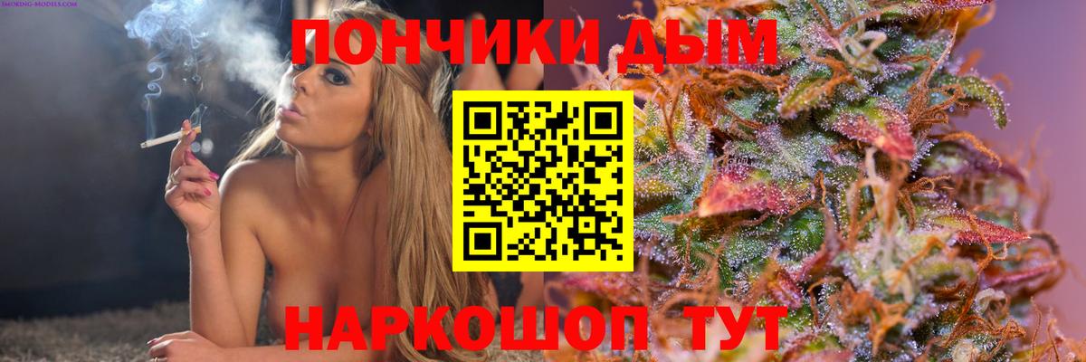 Бошки марихуана OG Kush Губаха